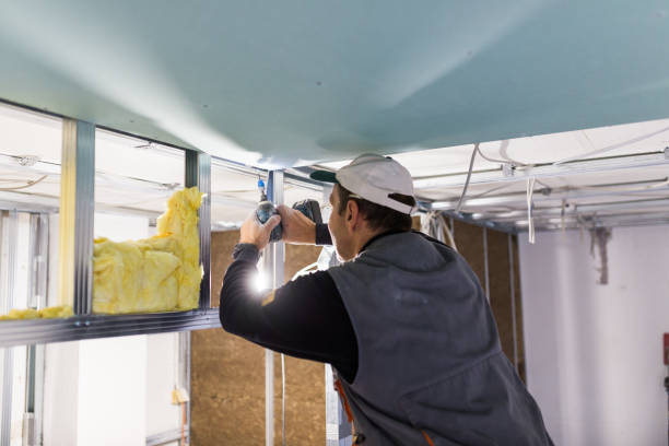 Best Blown-in Insulation  in York, AL