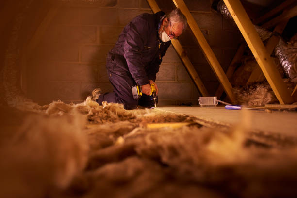 Professional Insulation Contractor in York, AL